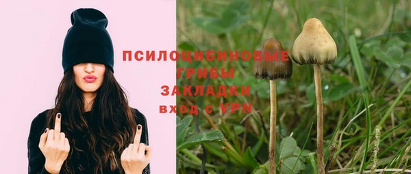 индика Абдулино