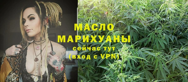 индика Абдулино